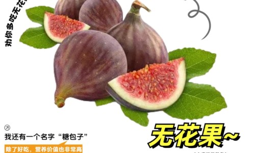 999感冒灵哺乳期能喝吗-999感冒灵哺乳期网适合哺乳期妈妈吃的感冒药知识网站,分享999感冒灵哺乳期能喝吗大全